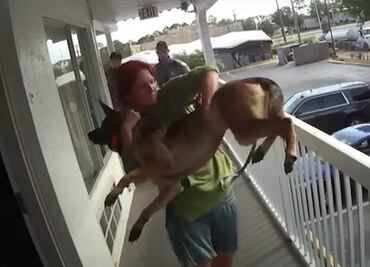 Detienen a mujer por arrojar a perro de balcón de hotel en Florida