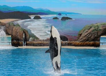 TripAdvidsor dejará de vender boletos para SeaWorld; aquí la razón
