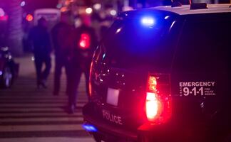 Detienen a hombre en Florida por abusar sexualmente de un perro