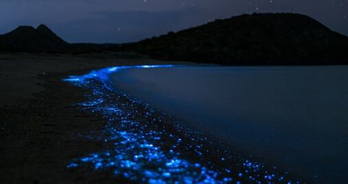 Así es el paseo en kayak por las aguas bioluminiscentes de Florida