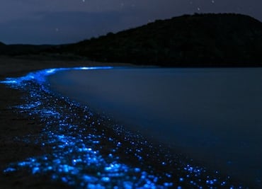 Así es el paseo en kayak por las aguas bioluminiscentes de Florida