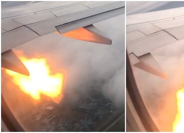 Video. Choque contra pájaro causa pánico en vuelo de Canadá