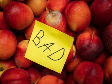 ¡Cuidado! Cofepris alerta sobre frutas de Estados Unidos contaminadas con bacterias