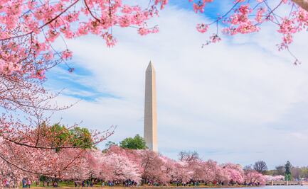 Washington, DC: Un destino sensorialmente inclusivo para personas neurodivergentes