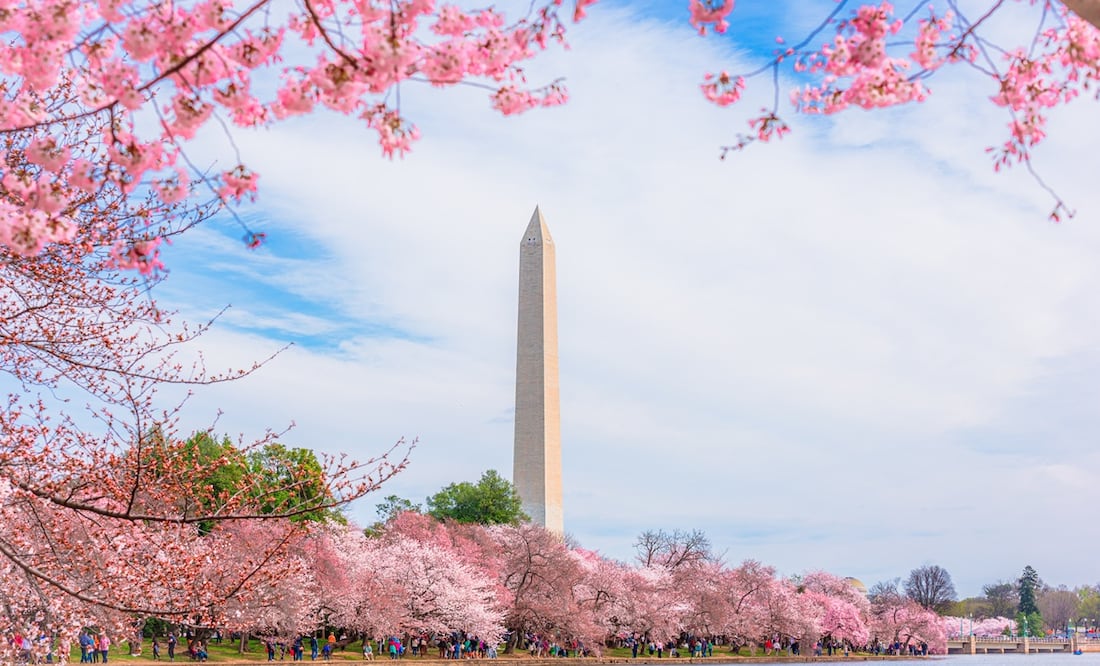 Washington, DC. iStock/ Chansak Joe
