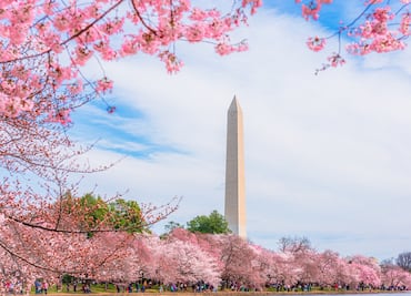 Washington, DC: Un destino sensorialmente inclusivo para personas neurodivergentes