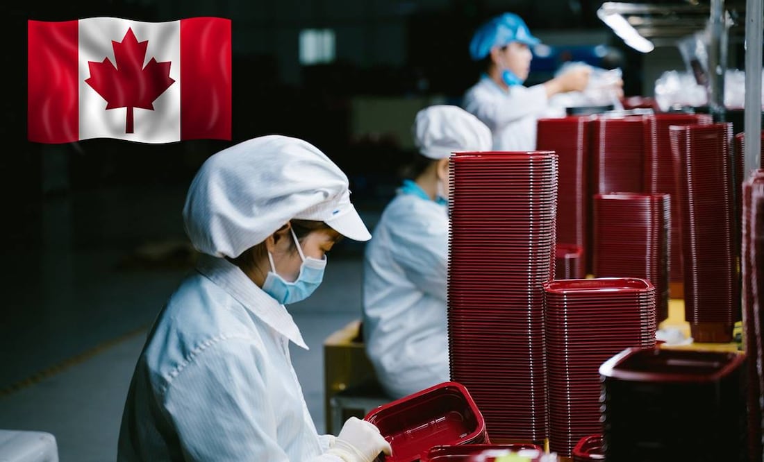 La compañía ofrece a los trabajadores cubrir sus gastos de viaje de México a Canadá. Foto: Pixabay