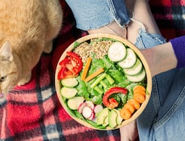 ¿Los gatos con dietas veganas tienen menos probabilidades de enfermar? Esto dice estudio