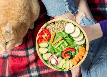 ¿Los gatos con dietas veganas tienen menos probabilidades de enfermar? Esto dice estudio