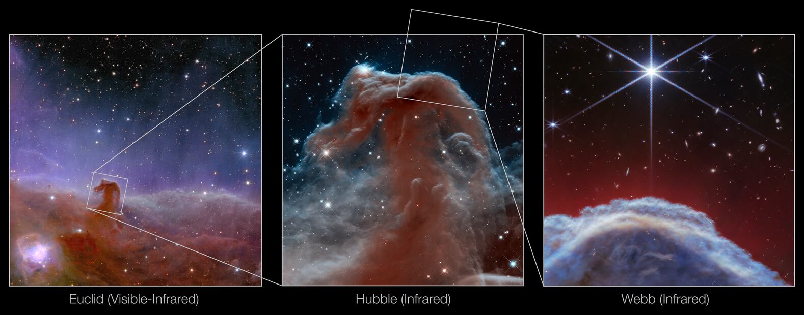 ¡Impresionantes! Telescopio Webb de la NASA capta imágenes de la nebulosa "Cabeza de caballo". Foto: NASA vía AP