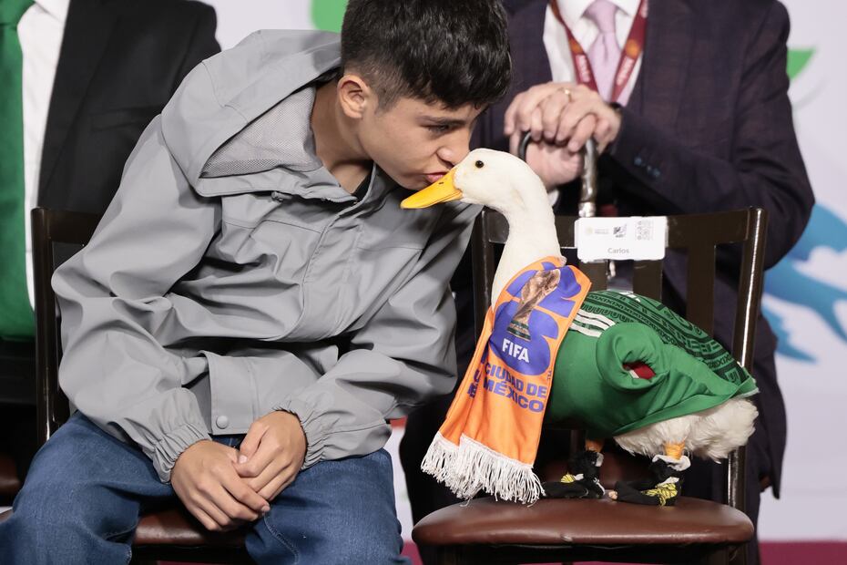 ¡De las calles a Palacio Nacional! El pato Merlín conquista a Claudia Sheinbaum. EFE/José Méndez