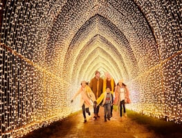 Navidad en San Antonio, Texas: ¿Qué hacer? 10 atracciones de temporada imperdibles