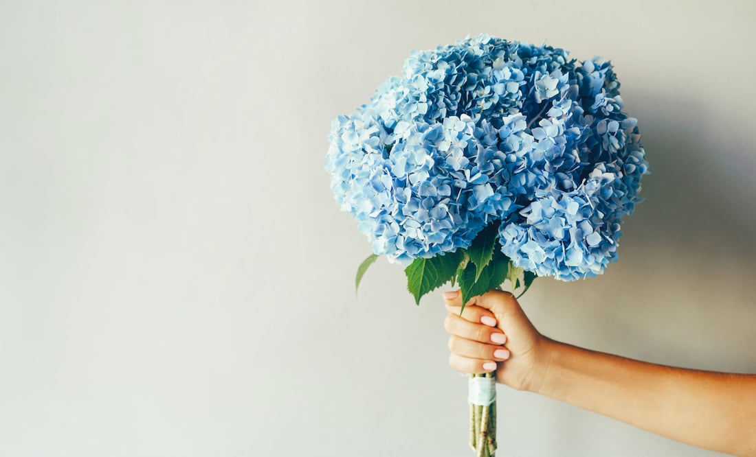 DÍA DEL NOVIO 3 DE OCTUBRE. Foto: iSTOCK-ilona titova