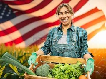 Necesita agricultores: Estas son las visas de trabajo H-2A y H-2B que Trump “sí protegería”