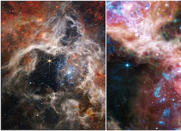 Sorprendentes imágenes de una “nebulasa tarántula” capturada por James Webb
