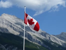 Mexicanos: Cómo trabajar en el campo en Canadá (2021)