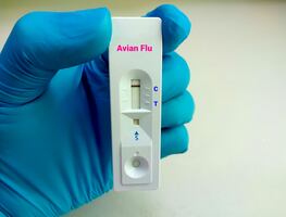 Gripe aviar en México. Primer caso de H5N2 en seres humanos a nivel mundial. Lo que se sabe