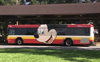 Buscan choferes de autobuses para trabajo en Disney World; pagan 17 dólares la hora