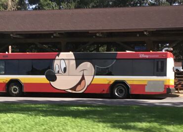 Buscan choferes de autobuses para trabajo en Disney World; pagan 17 dólares la hora