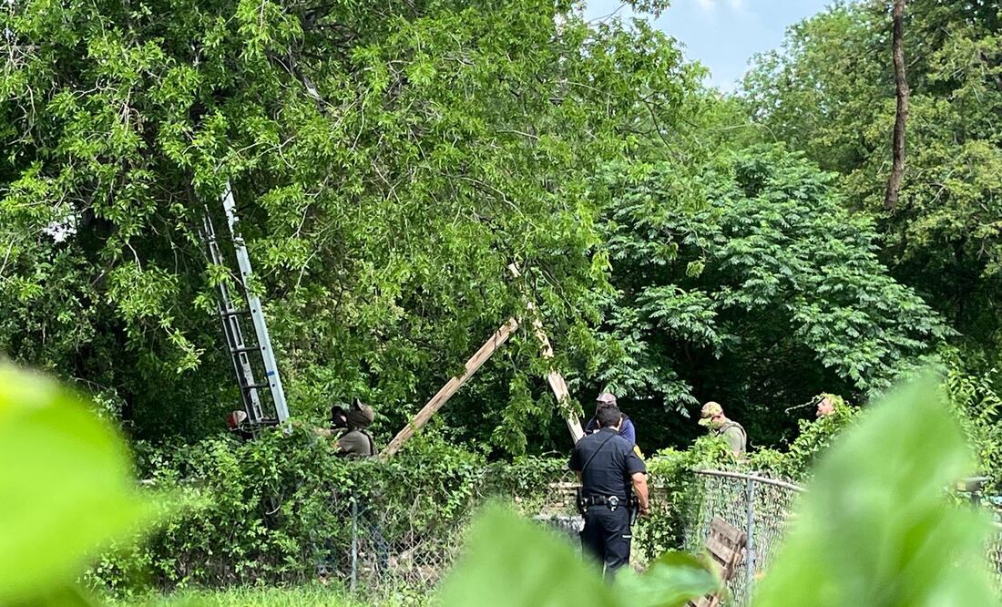 Migrante en EU pasó ocho horas subido a un árbol para evitar ser arrestado por migración EFE/ Alejandra Arredondo