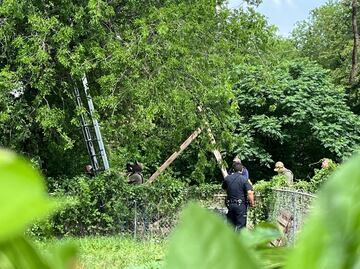 Migrante en EU pasó ocho horas subido a un árbol para evitar ser arrestado por migración
