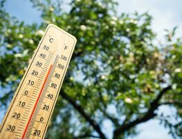 Tercera ola de calor en México. Al menos 25 estados con temperaturas mayores a 40° este lunes