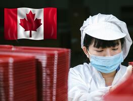 ¡Trabajo en Canadá! Buscan obreros mexicanos y pagan $60,000 (sin inglés)