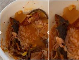 Pareja encuentra rata muerta dentro de sopa en restaurante de Nueva York