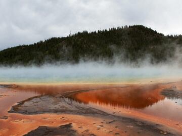Sentencian a prisión a turista por caminar sobre zona termal en Yellowstone