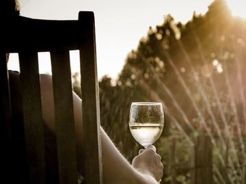 Razones para visitar el ‘paraíso del vino’ en Sonoma