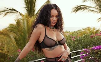 Rihanna se luce en diminuta e impactante lencería de leopardo en Instagram