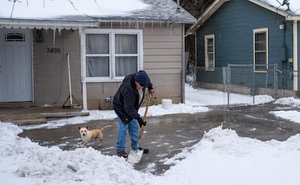Hallan perrito congelado y muerto en Texas; llevan animales a refugios