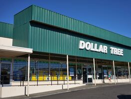 Dollar Tree vende el artículo para el hogar que necesitas tener: cuesta 20 dólares menos que en Walmart