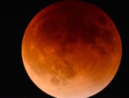 ¿Cuándo y cómo ver el eclipse lunar total y la Luna de Sangre de mayo 2022?