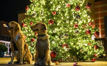 Los árboles de Navidad de las celebridades este 2020