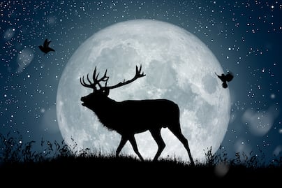 Luna llena del Ciervo 2025. ¿Cuándo habrá Luna llena en julio? ¿A qué hora verla en México?