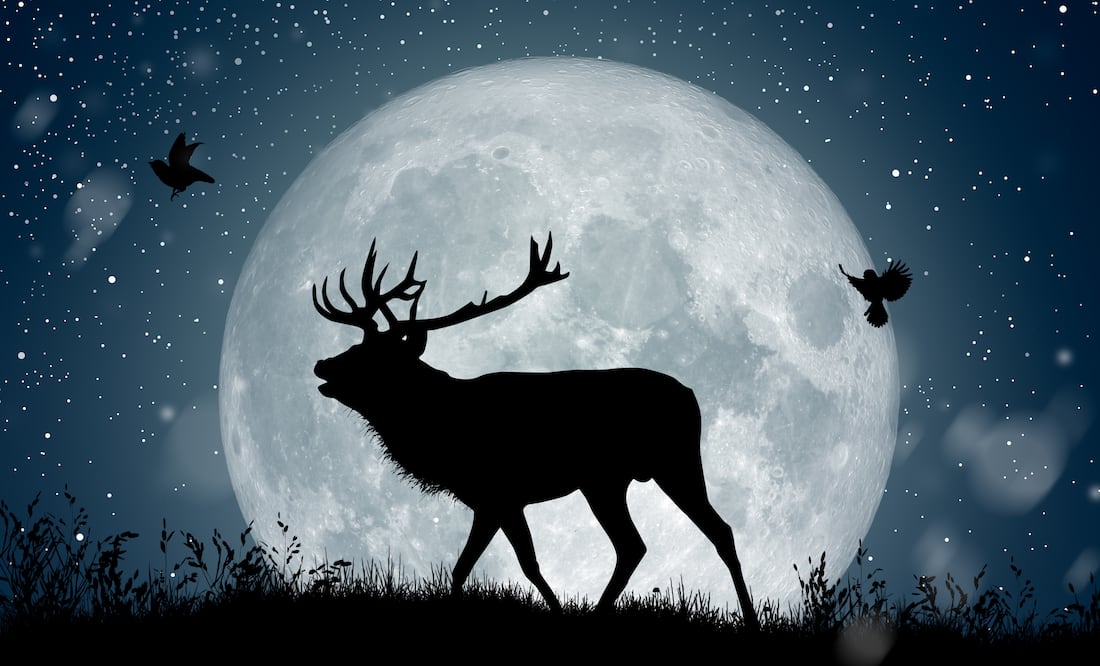 Luna llena de Ciervo, tres lluvias de meteoritos y el paso del cometa Olbers; lo imperdible de julio. Foto: iSTOCK-Peach_iStock