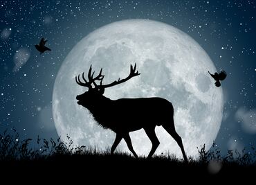 Luna llena del Ciervo 2025. ¿Cuándo habrá Luna llena en julio? ¿A qué hora verla en México?