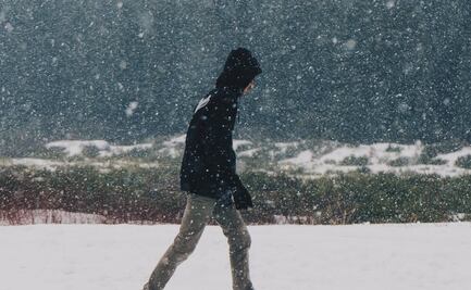 "¡Está nevando!": El estado de Florida registra una inusual nevada