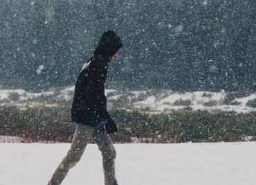 "¡Está nevando!": El estado de Florida registra una inusual nevada