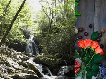 Un resort para los amantes de la naturaleza y el vino en Tennessee