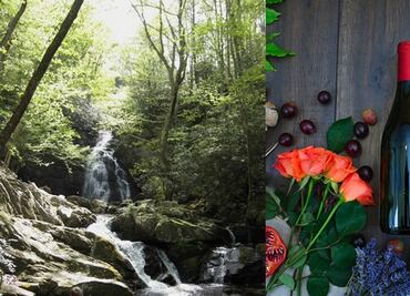 Un resort para los amantes de la naturaleza y el vino en Tennessee
