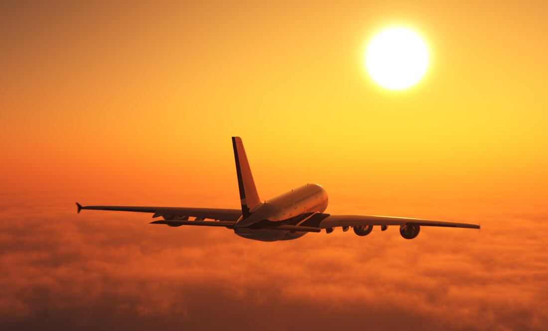 Foto: iStock/ 1971yes