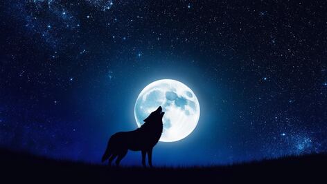 Luna del Lobo 2025 y la ocultación de Marte; lo que debes saber para no perderte ambos fenómenos