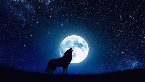 Luna del Lobo 2025 y la ocultación de Marte; lo que debes saber para no perderte ambos fenómenos