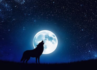 Luna del Lobo 2025 y la ocultación de Marte; lo que debes saber para no perderte ambos fenómenos