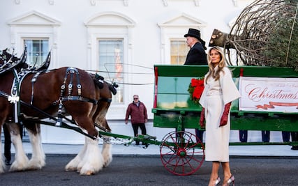 Melania Trump reaparece y desata furor al recibir el árbol de Navidad de la Casa Blanca: así fue su elegante bienvenida
