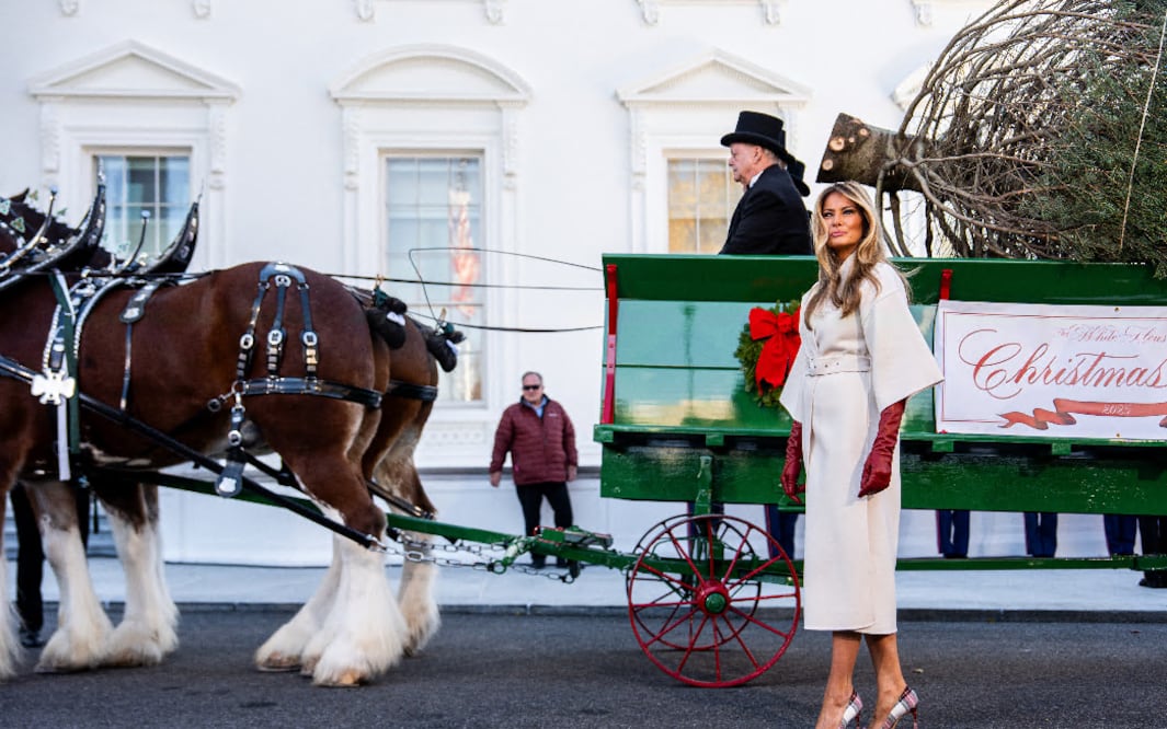 Melania Trump reaparece y desata furor al recibir el árbol de Navidad de la Casa Blanca: así fue su elegante bienvenida. (AP Photo/Julia Demaree Nikhinson)