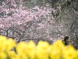 Equinoccio de primavera 2025. ¿Cuándo es? ¿Cuándo inicia la primavera en México?