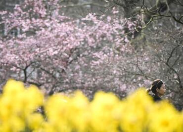 Equinoccio de primavera 2025. ¿Cuándo es? ¿Cuándo inicia la primavera en México?